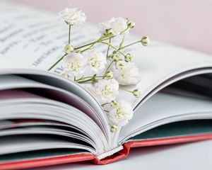 Preview wallpaper gypsophila, flowers, branch, book, pages
