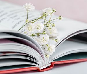 Preview wallpaper gypsophila, flowers, branch, book, pages