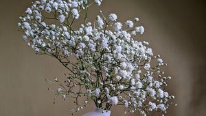 Preview wallpaper gypsophila, flowers, vase, minimalism