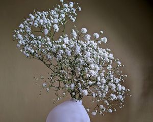 Preview wallpaper gypsophila, flowers, vase, minimalism