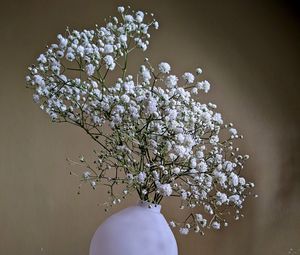 Preview wallpaper gypsophila, flowers, vase, minimalism