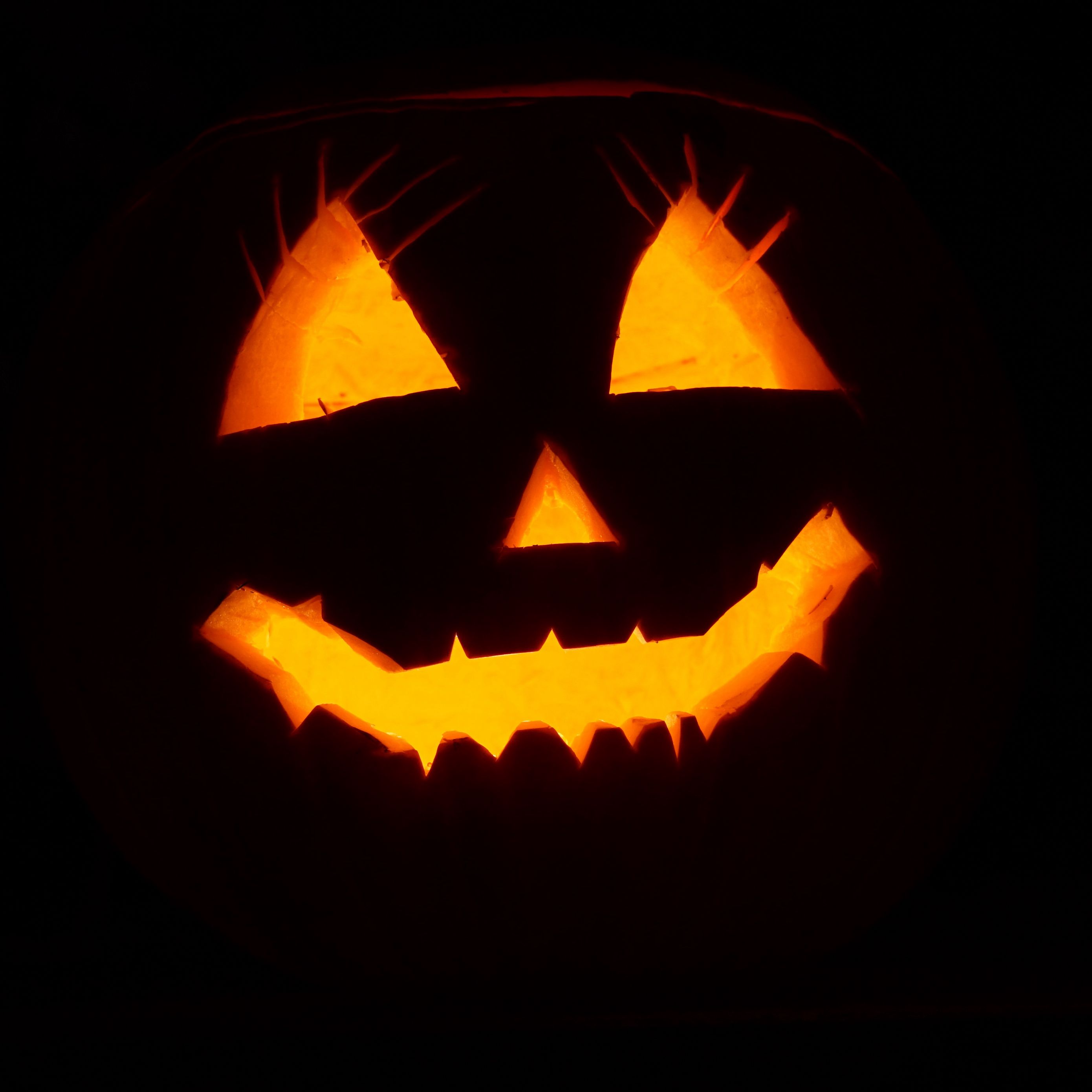 Download Aesthetic Halloween Laptop Skull Pumpkin Wallpaper  Wallpaperscom