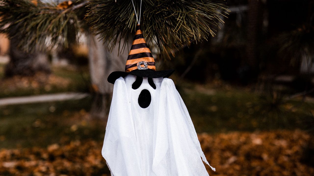 Wallpaper halloween, ghost, hat, holiday, autumn