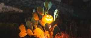 Preview wallpaper halloween, pumpkin, glow, cacti, night