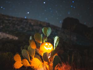 Preview wallpaper halloween, pumpkin, glow, cacti, night
