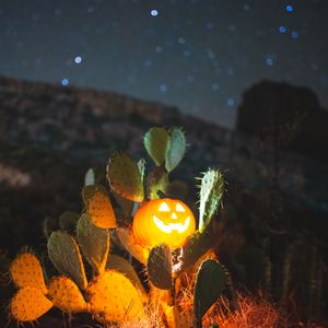 Preview wallpaper halloween, pumpkin, glow, cacti, night