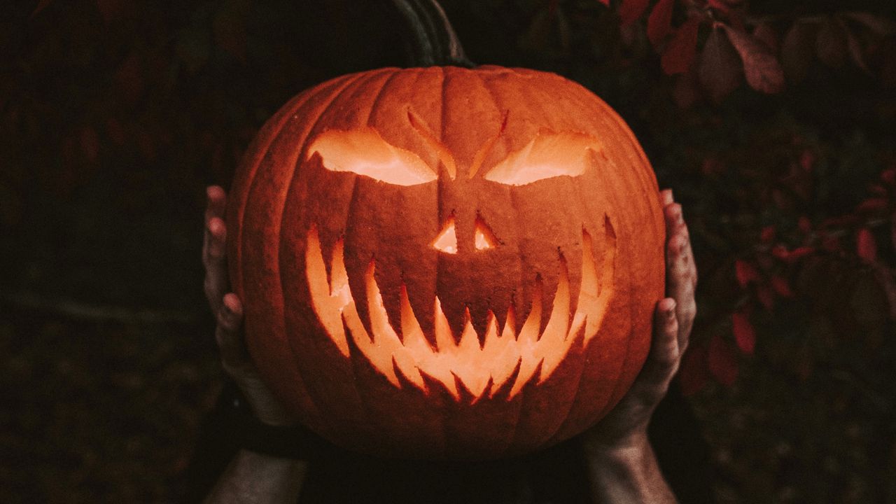 Wallpaper halloween, pumpkin, hands