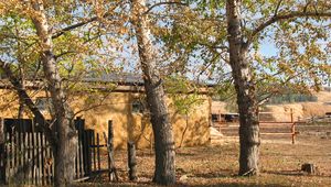 Preview wallpaper hamlet, village, fall, fence, barn, house, lobanov, kazakhstan, chelkar