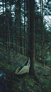 Preview wallpaper hammock, forest, trees, travel