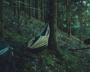 Preview wallpaper hammock, forest, trees, travel