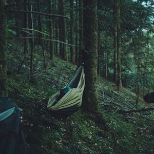 Preview wallpaper hammock, forest, trees, travel