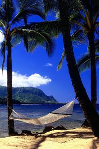 Preview wallpaper hammock, palm trees, coast, beach