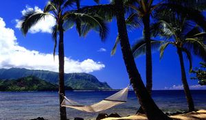 Preview wallpaper hammock, palm trees, coast, beach