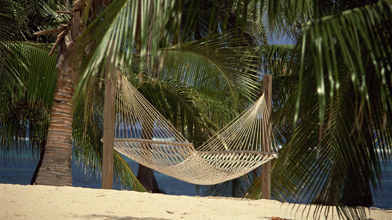 Download wallpaper 1366x768 hammock, palm trees, sand, grid tablet