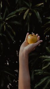 Preview wallpaper hand, apple, foliage, blur