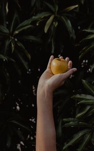 Preview wallpaper hand, apple, foliage, blur