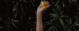 Preview wallpaper hand, apple, foliage, blur