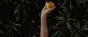 Preview wallpaper hand, apple, foliage, blur