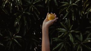 Preview wallpaper hand, apple, foliage, blur