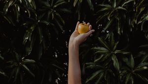 Preview wallpaper hand, apple, foliage, blur
