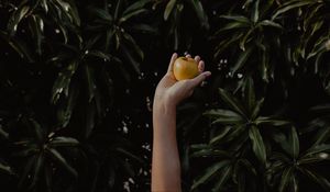 Preview wallpaper hand, apple, foliage, blur