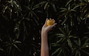 Preview wallpaper hand, apple, foliage, blur