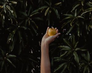 Preview wallpaper hand, apple, foliage, blur