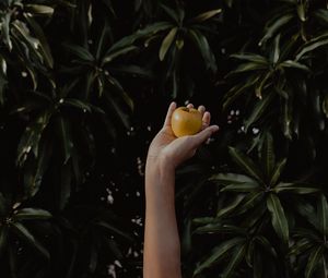 Preview wallpaper hand, apple, foliage, blur