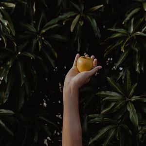 Preview wallpaper hand, apple, foliage, blur