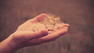 Preview wallpaper hand, arm, dandelion, fluff