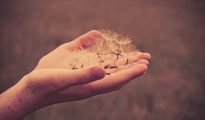 Preview wallpaper hand, arm, dandelion, fluff