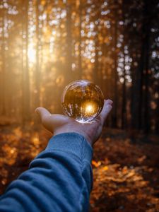 Preview wallpaper hand, ball, glass, reflection, autumn