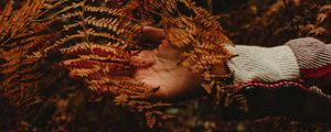 Preview wallpaper hand, branch, autumn, leaves