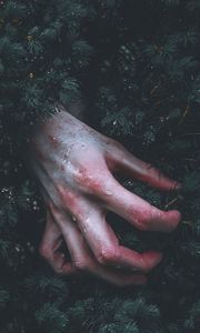 Preview wallpaper hand, branch, drop, wet