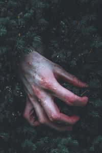 Preview wallpaper hand, branch, drop, wet