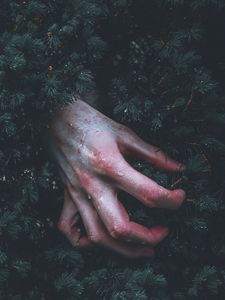 Preview wallpaper hand, branch, drop, wet