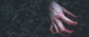 Preview wallpaper hand, branch, drop, wet