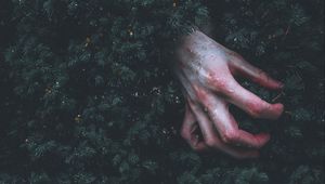 Preview wallpaper hand, branch, drop, wet