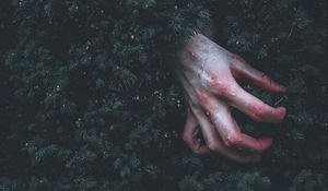Preview wallpaper hand, branch, drop, wet