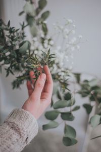 Preview wallpaper hand, branch, leaves, gently