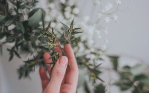 Preview wallpaper hand, branch, leaves, gently