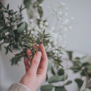 Preview wallpaper hand, branch, leaves, gently