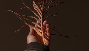 Preview wallpaper hand, branch, plant, dry