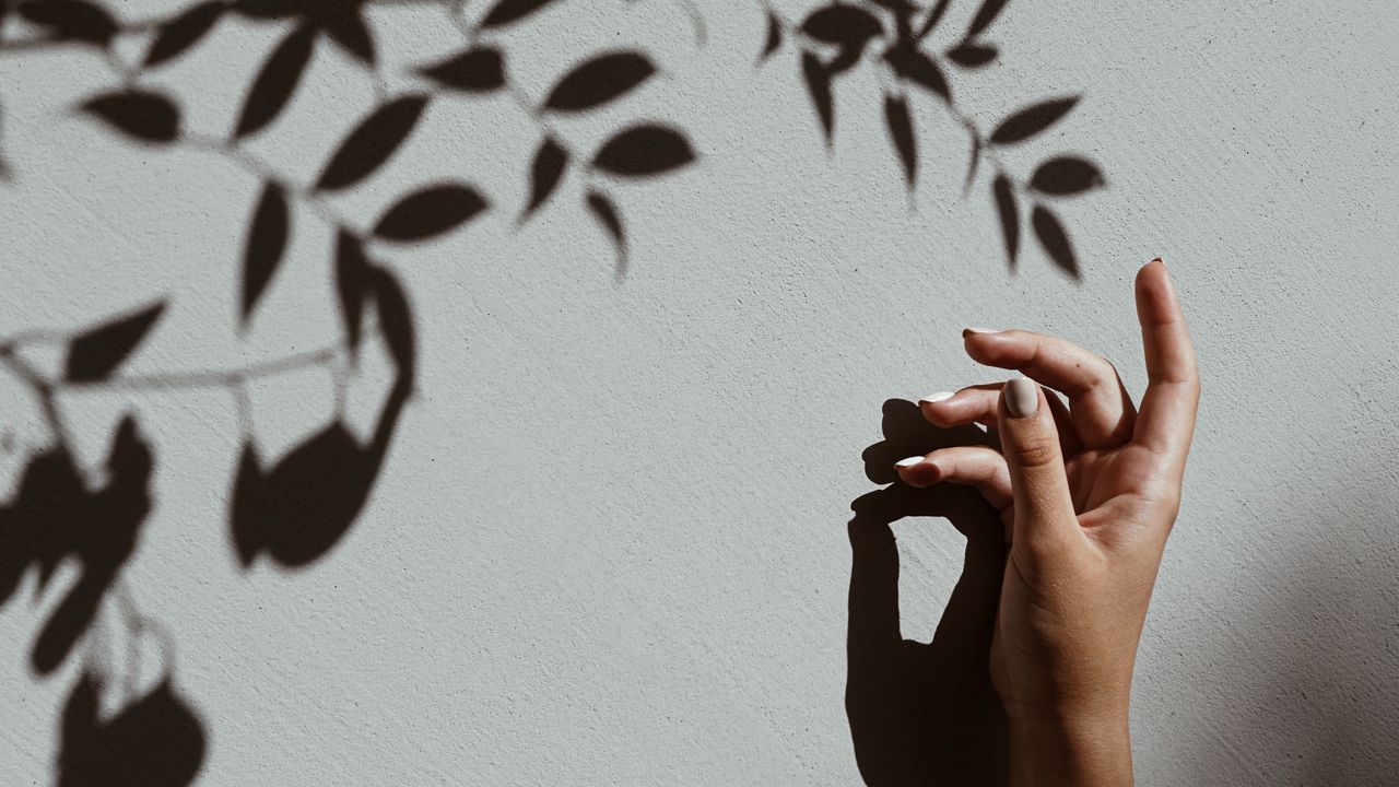 Wallpaper hand, branch, shadow, wall