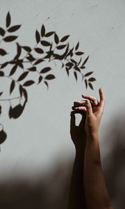 Preview wallpaper hand, branch, shadow, wall