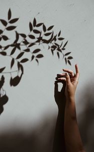 Preview wallpaper hand, branch, shadow, wall