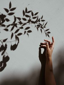 Preview wallpaper hand, branch, shadow, wall