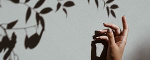 Preview wallpaper hand, branch, shadow, wall