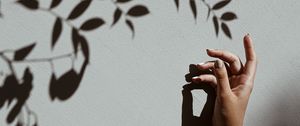 Preview wallpaper hand, branch, shadow, wall
