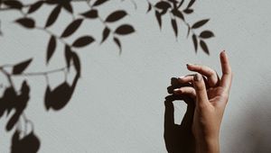 Preview wallpaper hand, branch, shadow, wall